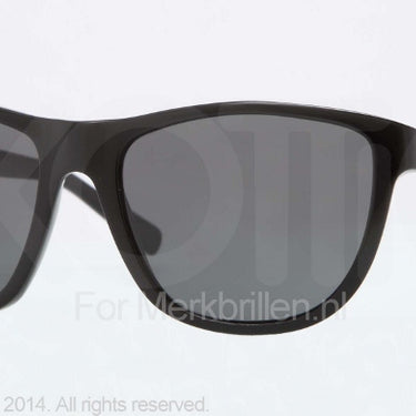 DKNY Zonnebril DY4103 Black grey