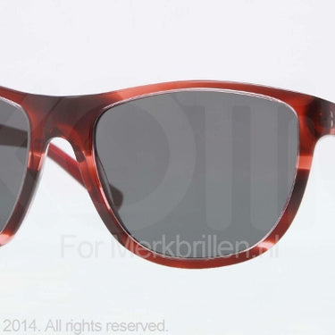 DKNY Zonnebril DY4103 Spotted bordeaux grey