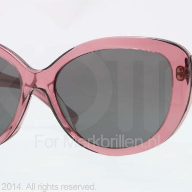 DKNY Zonnebril DY4107 360387 Pink