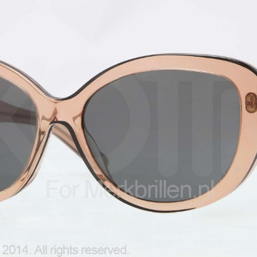 DKNY Zonnebril DY4107 Brown gray