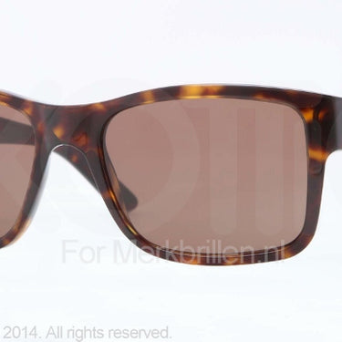 DKNY Zonnebril DY4108 Dark tortoise brown