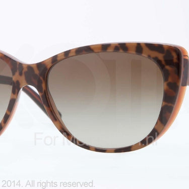 DKNY Zonnebril DY4109 361513 Top leopard on brown