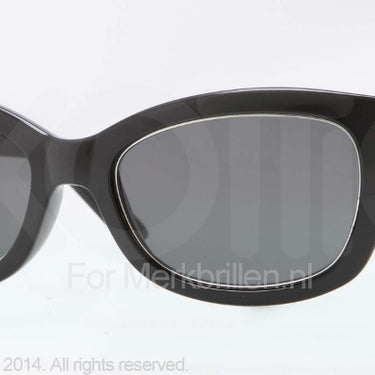 DKNY Zonnebril DY4110 Black gray