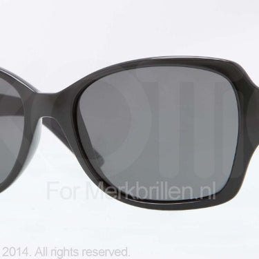 DKNY Zonnebril DY4111 300187 Black