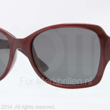 DKNY Zonnebril DY4111 Violet bordeaux grey