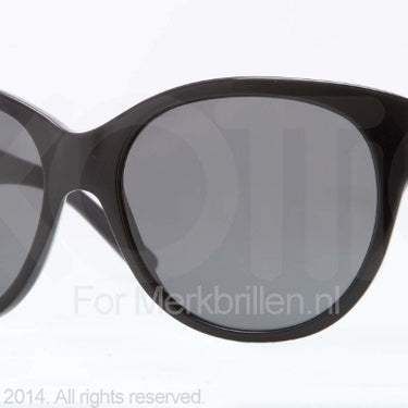 DKNY Zonnebril DY4113 300187 Black