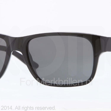 DKNY Zonnebril DY4114 Black grey