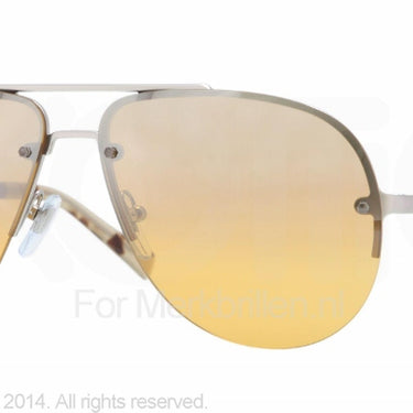 DKNY Zonnebril DY5074 Zilver-Geel