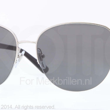 DKNY Zonnebril DY5077 100287 Silver