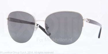 DKNY Zonnebril DY5077 100287 Silver
