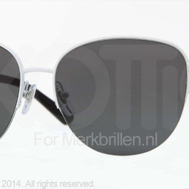 DKNY Zonnebril DY5077 White gray