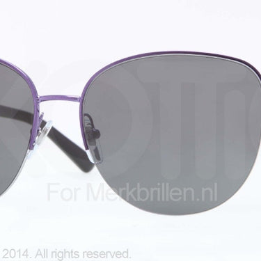 DKNY Zonnebril DY5077 Violet gray