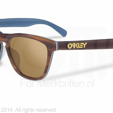 Oakley Zonnebril OO2043 Tortoise blue bronze polarized