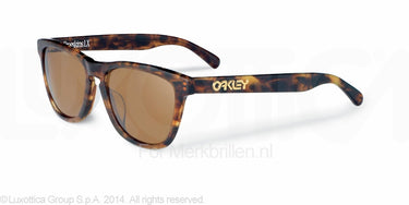 Oakley Zonnebril OO2043 Dark brown tortoise dark bronze
