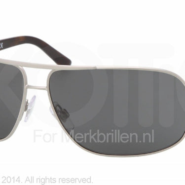 Polo Zonnebril PH3066 Zilver-Grijs