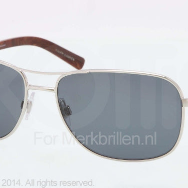 Polo Zonnebril PH3076 Shiny silver polar grey
