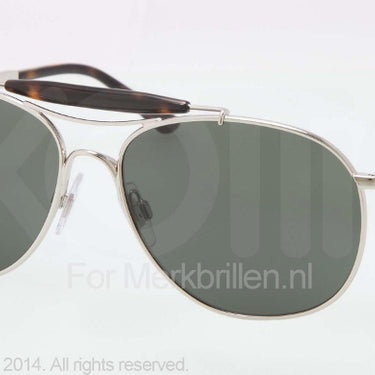 Polo Zonnebril PH3078P Shiny silver green
