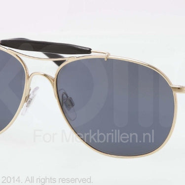 Polo Zonnebril PH3078P Shiny pale gold azure