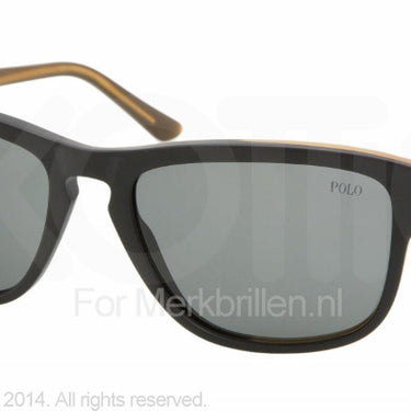 Polo Zonnebril PH4053 Zwart-amber-Grijs