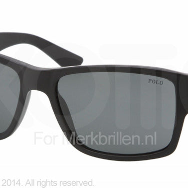 Polo Zonnebril PH4061 500187 Zwart-Grijs