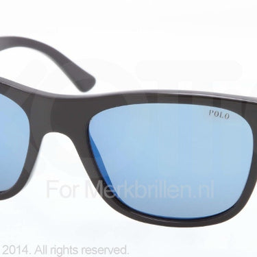 Polo Zonnebril PH4071 Black multilayer blue