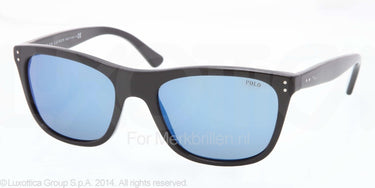 Polo Zonnebril PH4071 Black multilayer blue