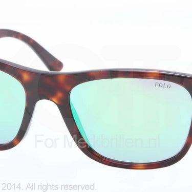 Polo Zonnebril PH4071 Dark havana multilayer green