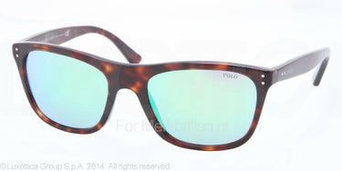 Polo Zonnebril PH4071 Dark havana multilayer green
