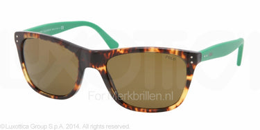 Polo Zonnebril PH4071 Havana-Bruin