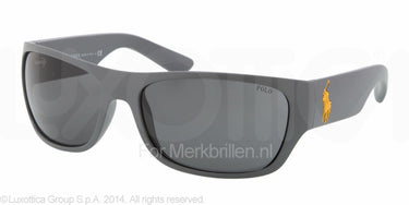 Polo Zonnebril PH4074 Grijs-Grijs