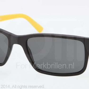 Polo Zonnebril PH4076 Matte black gray