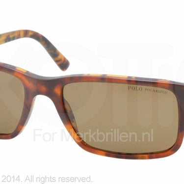 Polo Zonnebril PH4076 Matte bi havana polar brown