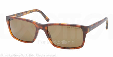 Polo Zonnebril PH4076 Matte bi havana polar brown