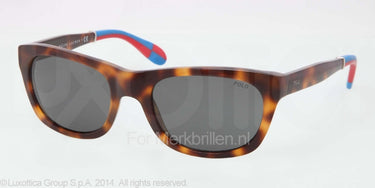 Polo Zonnebril PH4077 Jl tortoise gray