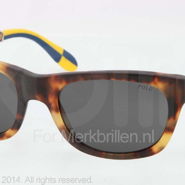 Polo Zonnebril PH4077 Newjerry tortoise gray