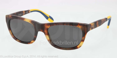 Polo Zonnebril PH4077 Newjerry tortoise gray