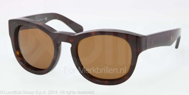 Polo Zonnebril PH4081P Dark havana brown