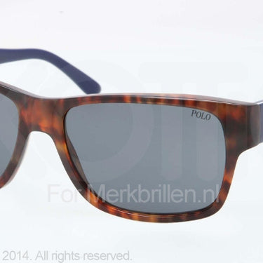 Polo Zonnebril PH4083 Shiny jerry tortoise dark blue