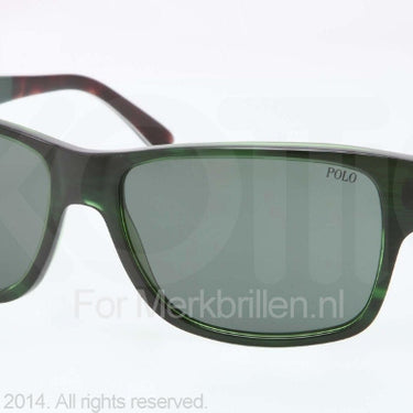 Polo Zonnebril PH4083 Trasparent green green