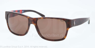 Polo Zonnebril PH4083 Havana tortoise vintage brown