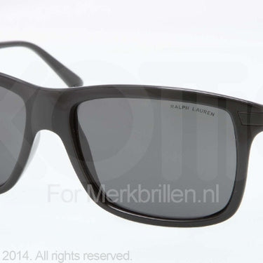 Polo Zonnebril PH4084 Shiny black gray