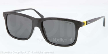 Polo Zonnebril PH4084 Shiny black gray