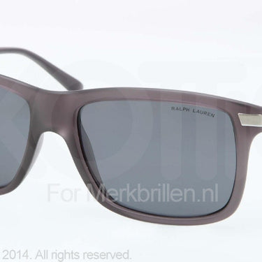 Polo Zonnebril PH4084 Matte grey polar grey