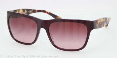 Ralph Zonnebril RA5164 Purple burgundy gradient