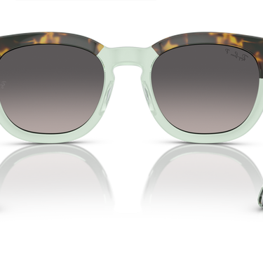 Ray-Ban Mega Hawkeye RB0298S 1376M3 Havana op transparant groen
