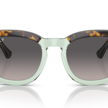 Ray-Ban Mega Hawkeye RB0298S 1376M3 Havana op transparant groen