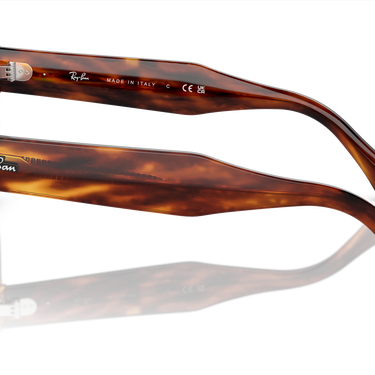 Ray-Ban Mega Hawkeye RB0298S 954/62 Havana Gestreept
