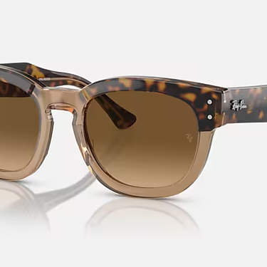 Ray-Ban Mega Hawkeye RB0298S 1292M2 Havana op transparant bruin