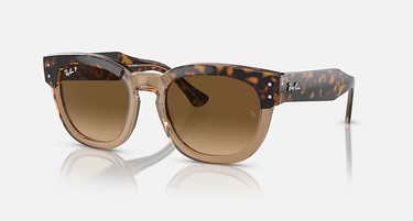 Ray-Ban Mega Hawkeye RB0298S 1292M2 Havana op transparant bruin