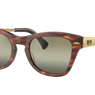 Ray-Ban RB0707SM 954/G4 Havana gestreept